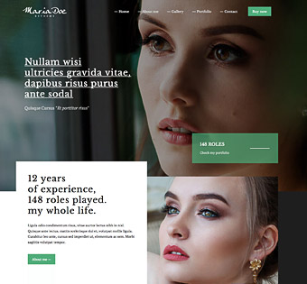 Arlington Texas Small Business Website Design
