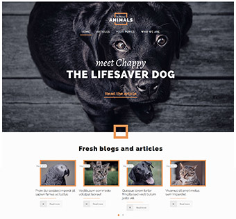 Arlington Texas Small Business Website Design